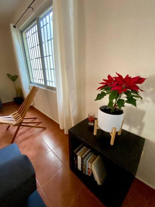 Peach35 Apartamento Centrico, 5 Min De La Playa Cancún Eksteriør bilde